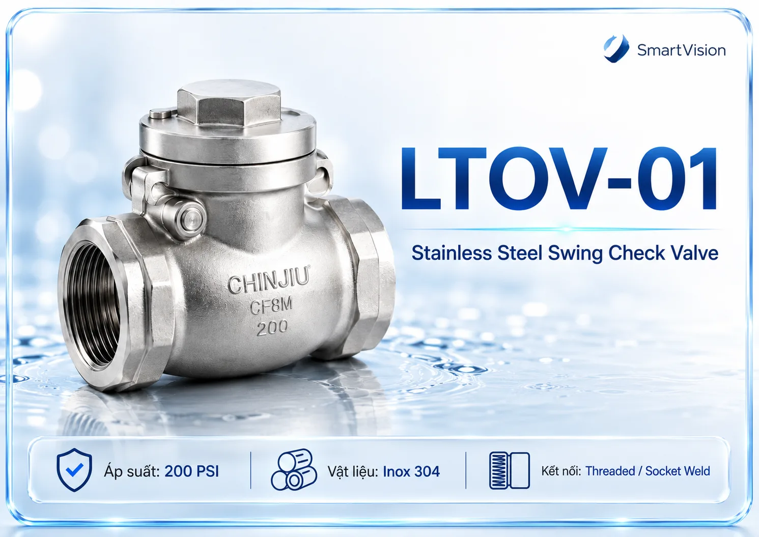 LTOV-01 Stainless Steel Swing Check Valve